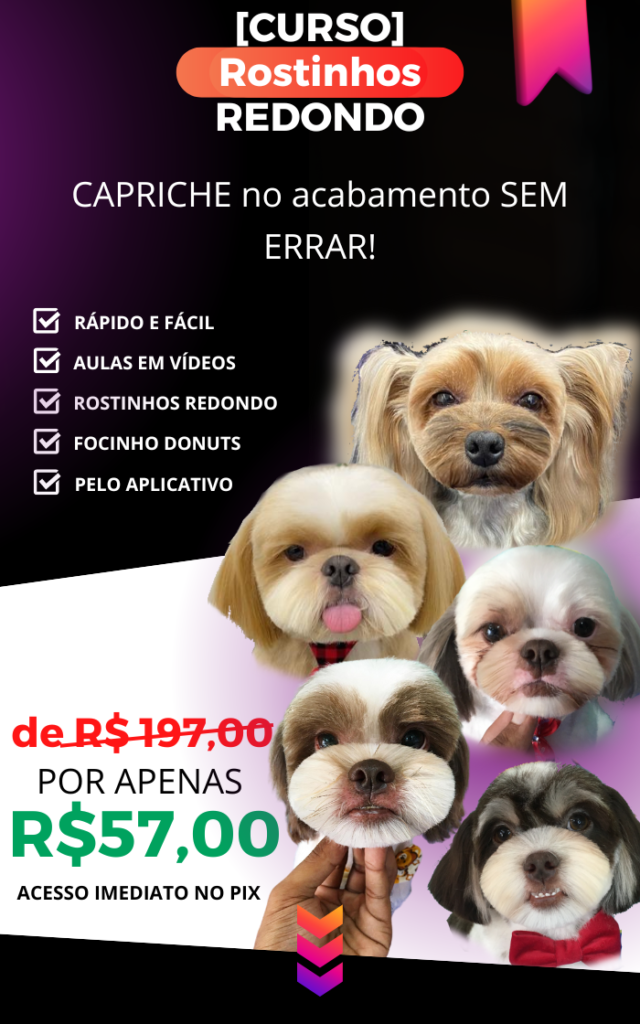 curso de banho e tosa rostinho redondo