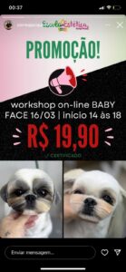 WhatsApp Image 2025-02-20 at 16.16.41